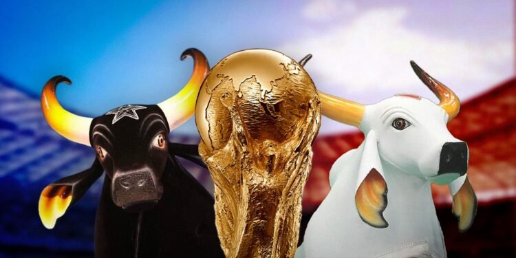 copa-bois-festival