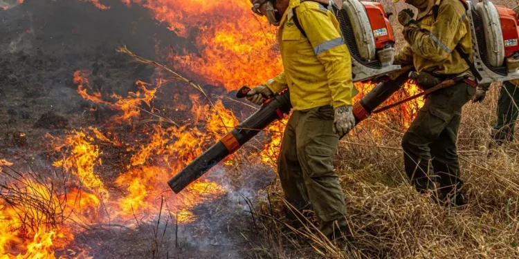 Governo repassa R$ 337 milhões para combate a incêndios e desmatamento