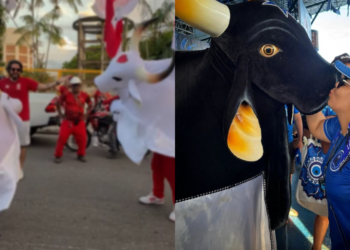 Mãe faz carta aberta ao seu filho tripinha do Boi Garantido - (Foto: Reprodução/Redes Sociais)