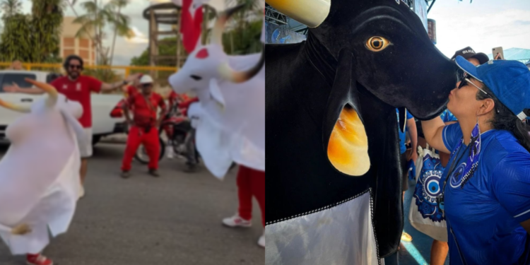 Mãe faz carta aberta ao seu filho tripinha do Boi Garantido - (Foto: Reprodução/Redes Sociais)