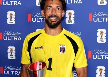vozinha
