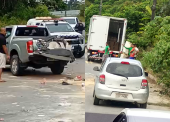 Veículos ficam destruídos após colisão na AM-010 - (Foto: Reprodução/Redes Sociais)