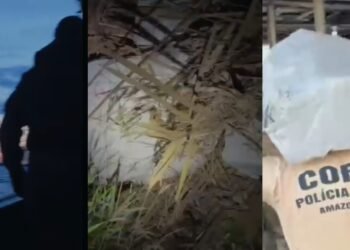 Denarc apreende 700 quilos de skunk e arsenal escondidos em área de mata na comunidade do Tupé