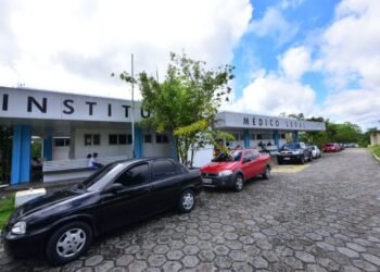 Feto é encontrado enterrado em terreno baldio na zona leste de Manaus; polícia investiga abandono