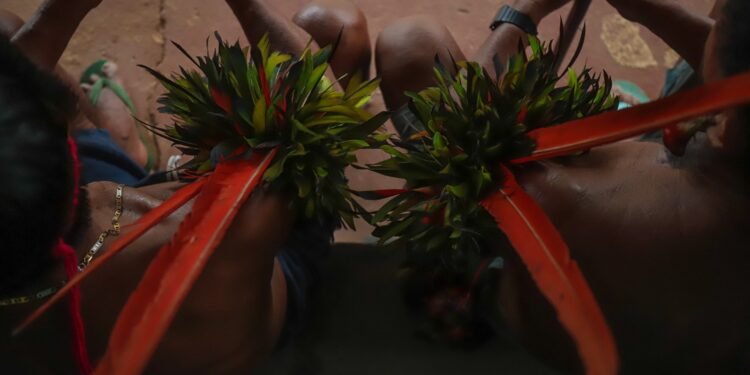 MP investiga falta de acompanhamento a crianças Yanomami com desnutrição grave no Amazonas