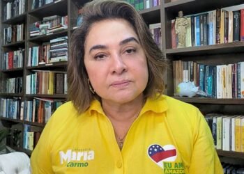 Maria do Carmo aciona MPE e pede investigação sobre possível distribuição irregular de cestas básicas no AM