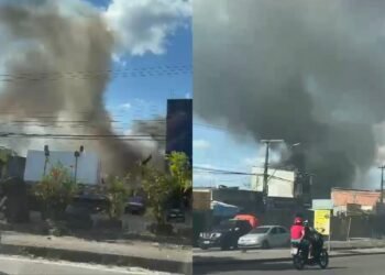 Incêndio atinge área de mata na zona Norte de Manaus