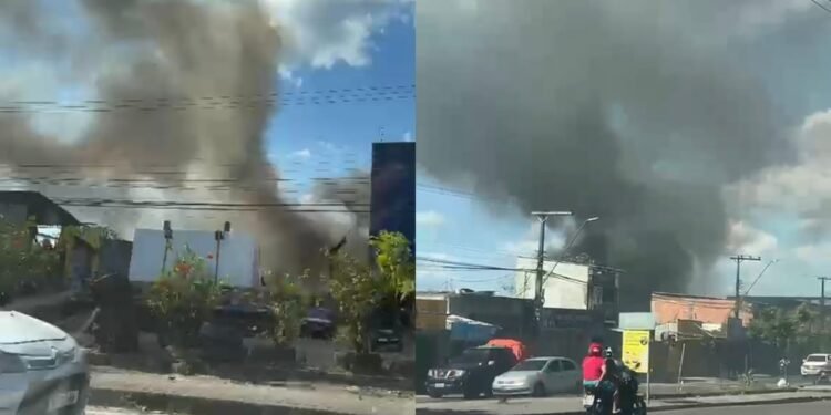 Incêndio atinge área de mata na zona Norte de Manaus