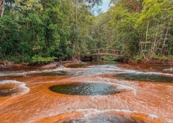 cachoeira do mutum