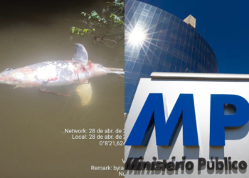 Dois botos são encontrados morto no rio da região entre abril e maio deste ano - (Foto: Reprodução/Internet)