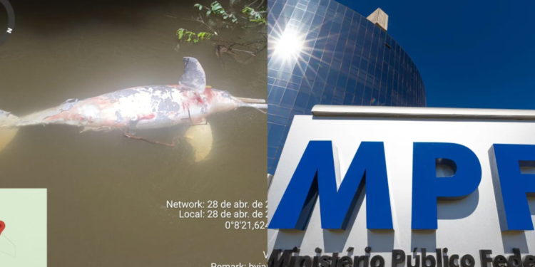 Dois botos são encontrados morto no rio da região entre abril e maio deste ano - (Foto: Reprodução/Internet)