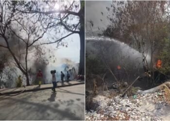 Bombeiros combatem incêndio em área de mata cercada por lixo no Distrito Industrial