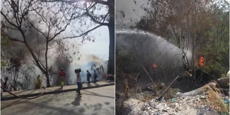 Bombeiros combatem incêndio em área de mata cercada por lixo no Distrito Industrial
