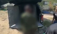Homem é preso na BR-174 pelo crime de zoofilia contra cadela