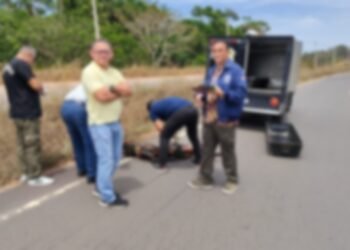 Corpo de mulher é encontrado em canteiro da AM-070, em Iranduba