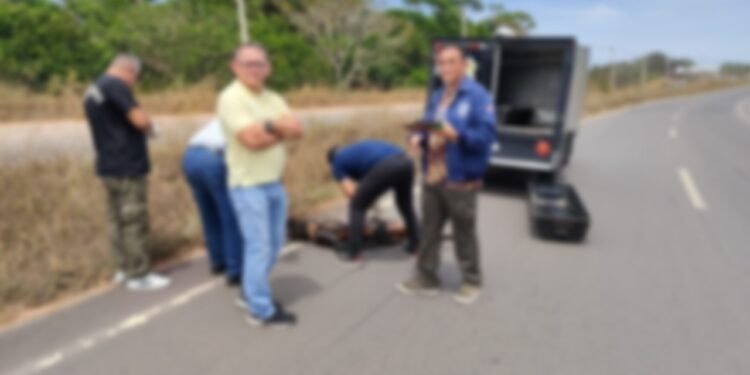 Corpo de mulher é encontrado em canteiro da AM-070, em Iranduba