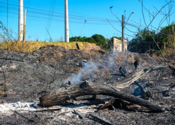 Fala Manaus calor intenso preocupa moradores e aumenta risco de incêndios