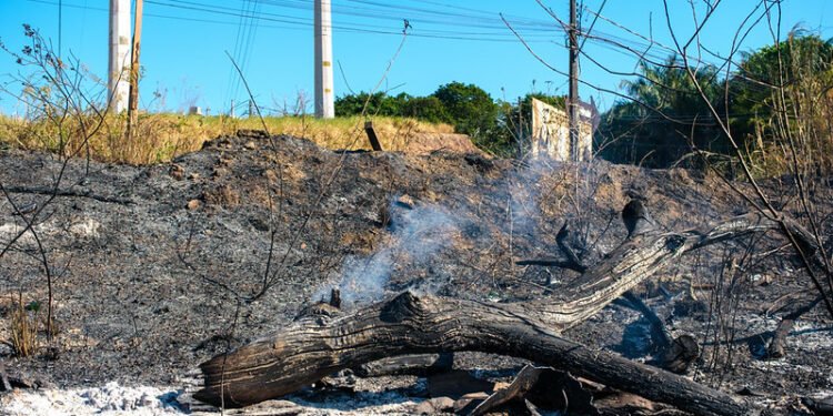 Fala Manaus calor intenso preocupa moradores e aumenta risco de incêndios