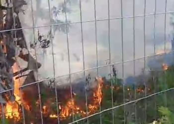 Incêndio atinge área de mata na Bola da Suframa, em Manaus