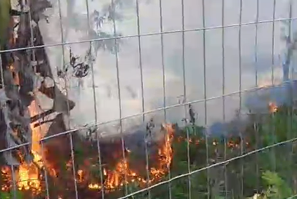 Incêndio atinge área de mata na Bola da Suframa, em Manaus