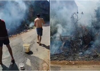 Incêndio em área de vegetação deixa moradores em alerta no Novo Aleixo