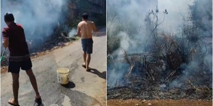 Incêndio em área de vegetação deixa moradores em alerta no Novo Aleixo
