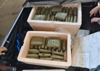 Esquema que levava skunk de Manaquiri ao Rio de Janeiro é desarticulado; 125 quilos da droga são apreendidos