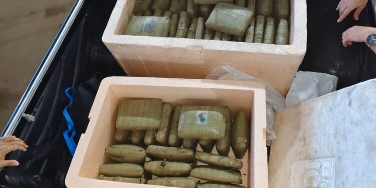 Esquema que levava skunk de Manaquiri ao Rio de Janeiro é desarticulado; 125 quilos da droga são apreendidos