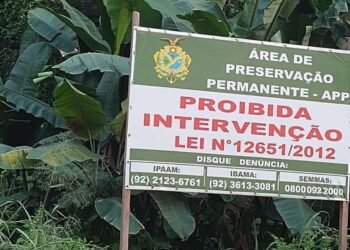 MP investiga ocupação irregular em área de preservação permanente em Iranduba