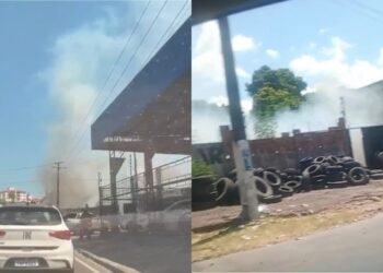 Incêndio atinge área de vegetação na zona Leste de Manaus