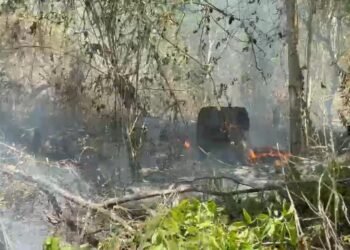 Princípio de incêndio atinge terreno próximo a subestação de energia na zona Norte de Manaus