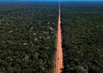 DNIT homologa contrato de R$ 402 milhões com empresa para asfaltar trecho da BR-319