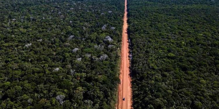 DNIT homologa contrato de R$ 402 milhões com empresa para asfaltar trecho da BR-319