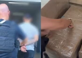 caso zona norte skunk