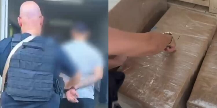 caso zona norte skunk