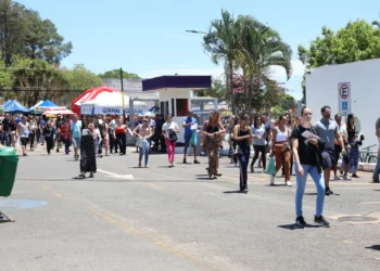concurso-publico