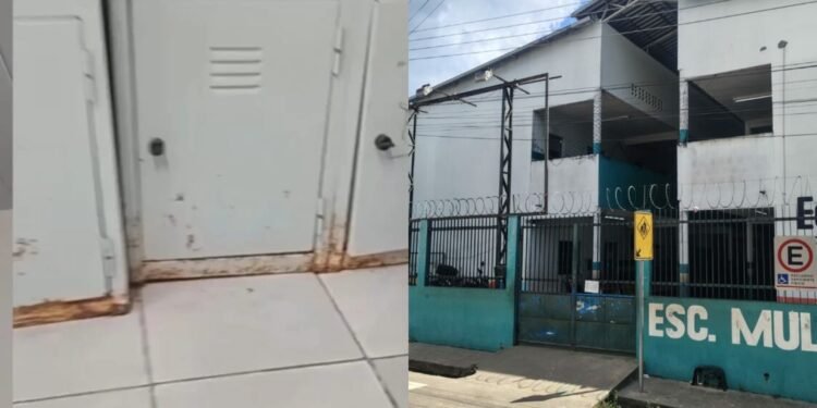 escola denúncia professores