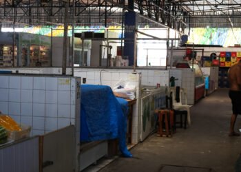 feira manaus