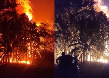incendio caapiranga