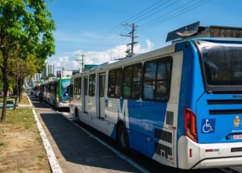 onibus