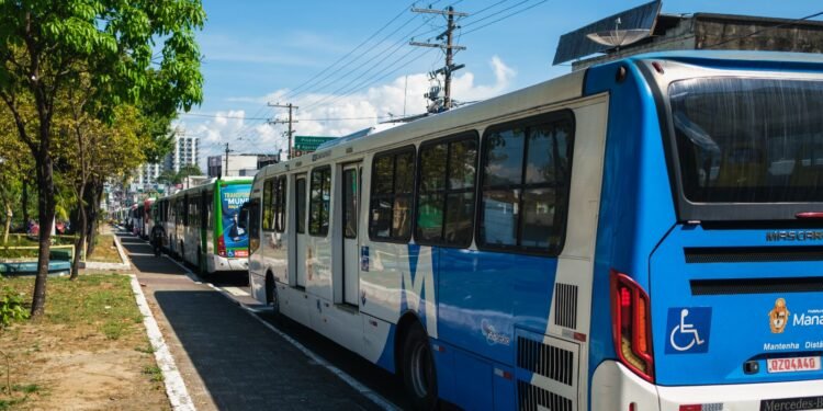 onibus