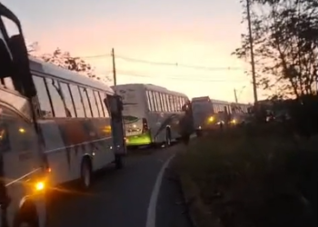 Após paralisação de transporte especial, Suframa alerta para riscos econômicos