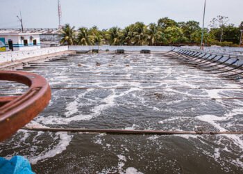 Manaus terá disponibilidade de água em nível crítico até 2040, alerta estudo