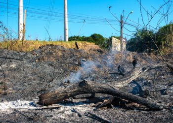 Amazonas lidera ranking de focos de queimadas nos primeiros dias de setembro, aponta INPE
