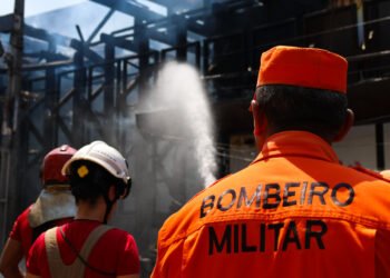 Decreto do Fogo restringe queimadas no Amazonas durante período de estiagem severa
