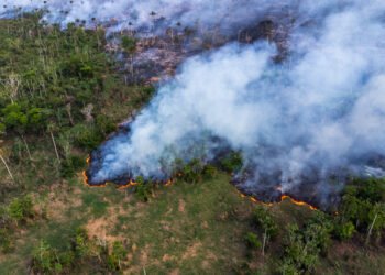 Incêndio em vegetação no Cacau Pirêra provoca coluna de fumaça que pode ser vista de Manaus