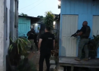 Nove pessoas são presas por crimes sexuais contra crianças e adolescentes em Manaus