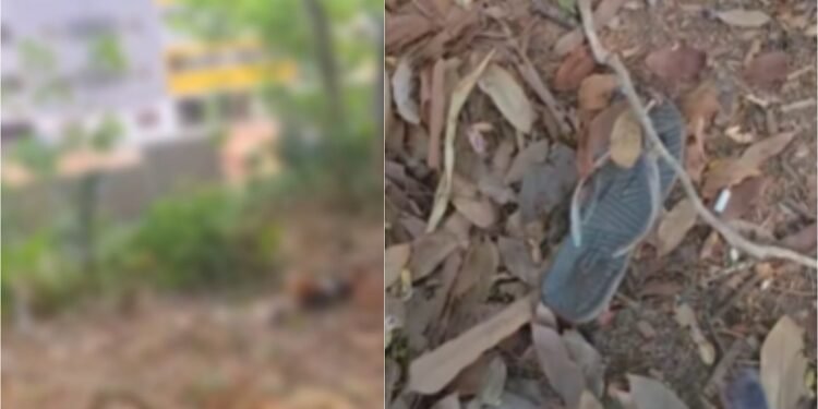 Mulher é encontrada morta com sinais de espancamento no Planalto