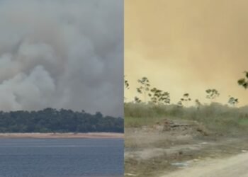 Incêndio em vegetação no Cacau Pirêra provoca coluna de fumaça que pode ser vista de Manaus
