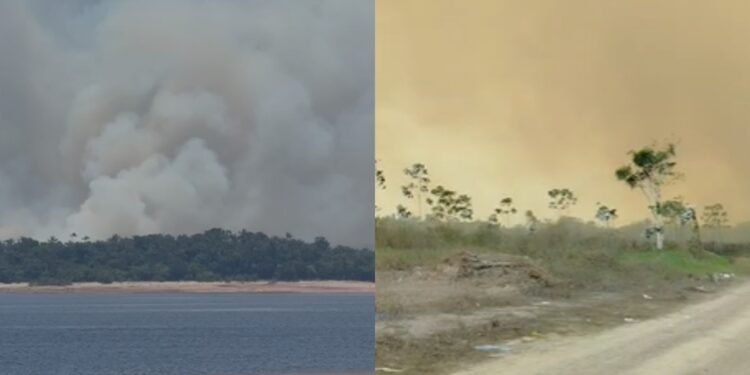 Incêndio em vegetação no Cacau Pirêra provoca coluna de fumaça que pode ser vista de Manaus